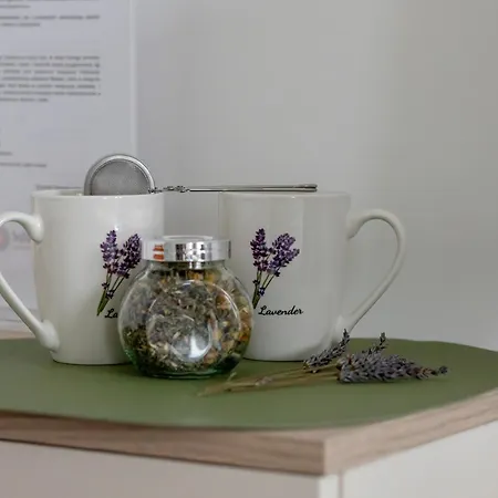 Seaside Mazowiecka Park - Wyjatkowy Na 7 Osob 2 Sypialnie, 2 Lazienki I Parking - Luxury Large With 2 Bedrooms, 2 Bathrooms And Parking * كولوبرزيغ